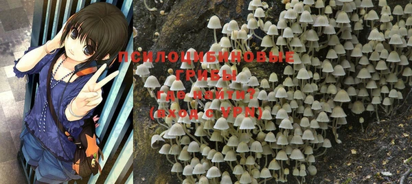 ешки Баксан