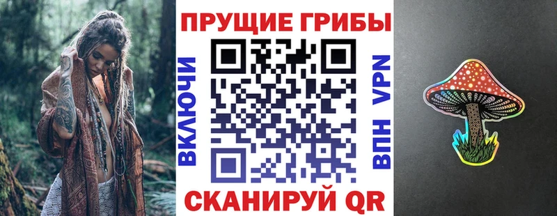 Галлюциногенные грибы MAGIC MUSHROOMS  мега вход  Салаир 